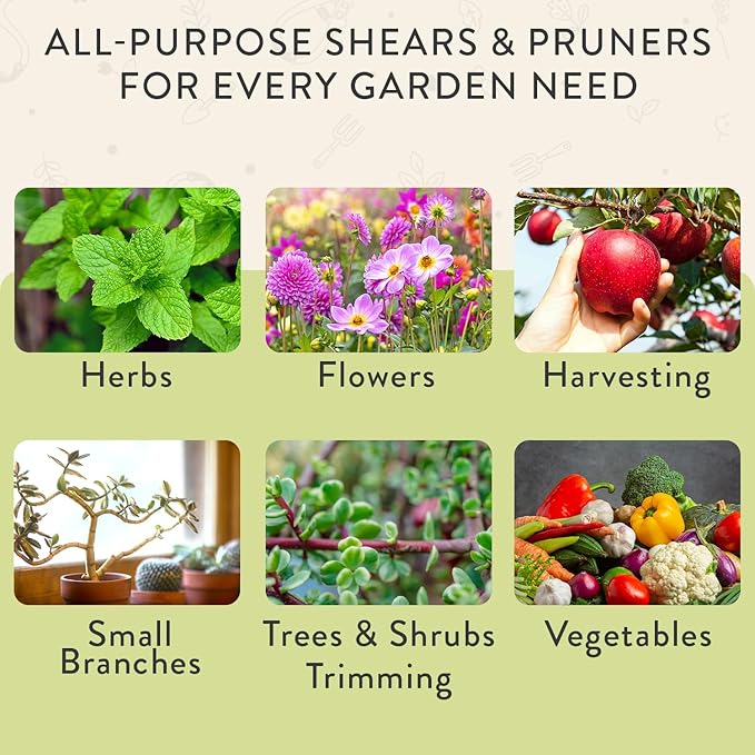 Modern Sprout Hand Pruners & Shears Set with Blister Pack - Lightweight Gardening Tools with Easy Lock - Sharp Carbon Steel Blades -Rust Resistant Scissors for Herbs, Flowers - Chartreuse