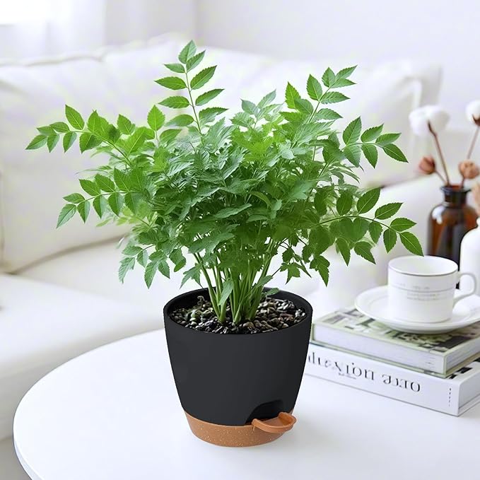 5-Pack Plant Pots with Drainage for Winter Care 7/6.5/6/5.5/5 Inch, Self Watering Pots for Indoor Plants, Planters for Indoor Outdoor Plants, Plastic Flower Pot, Planter for Indoor Outdoor (Black)