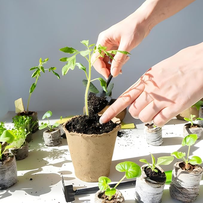 ZeeDix 100Pcs 40mm Peat Pellets for Seedlings, Seed Starter Pods Seed Starting Plugs Soil, Compressed Nutrient Block Potting Soil Discs Pellet for Planting Herbs Flowers Vegetables