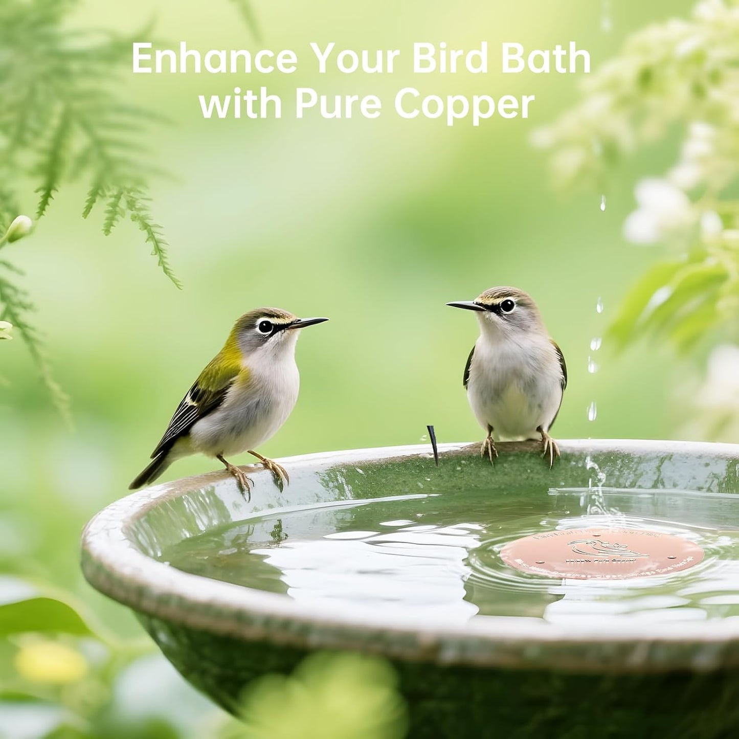 2 Pack Bird Bath Copper Disk, Premium 0.6mm Sturdy 99.99% Pure Copper Disk for Bird Baths,Triple-Point Support Ensures Clean Water Year-Round, Compatible with All Outdoor Birdbath Bowls