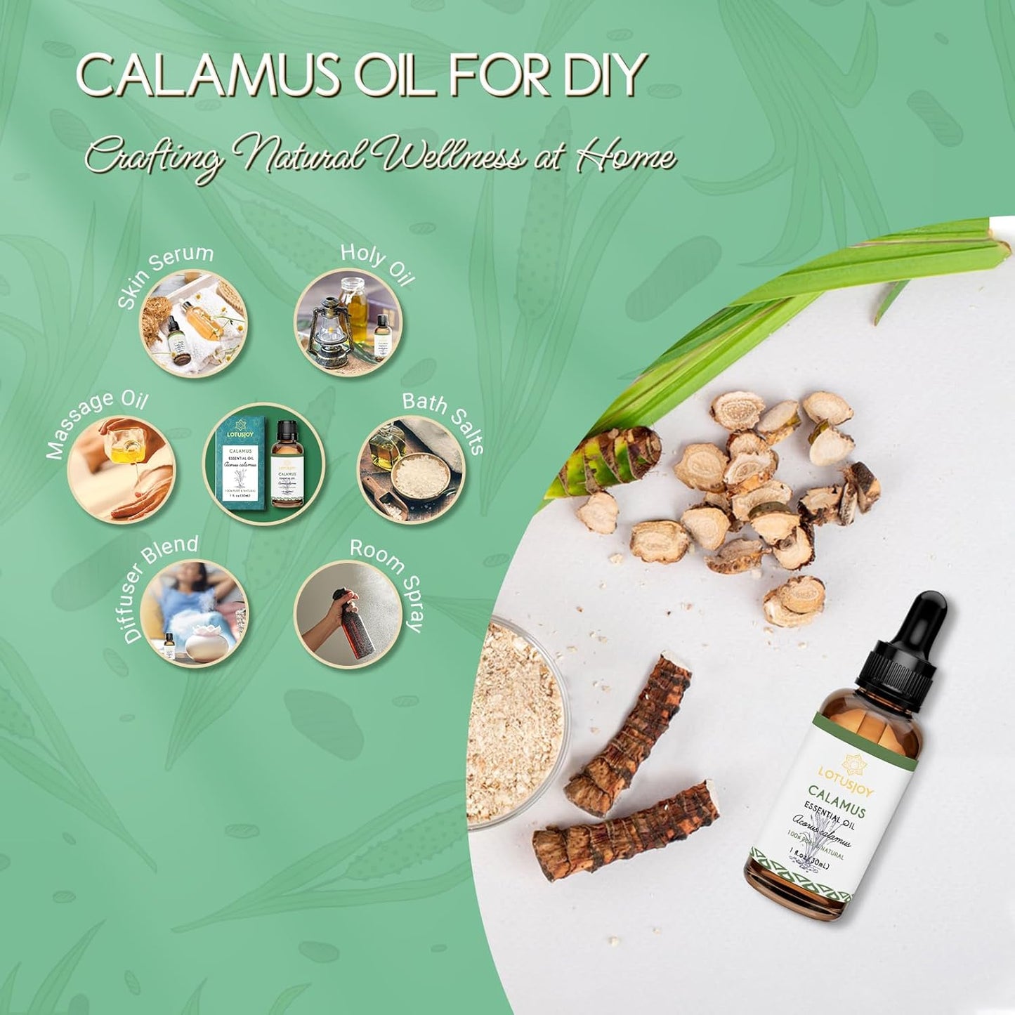 Calamus Essential Oil for Skin Hair Diffuser DIY Anointing Oil- 1 Oz