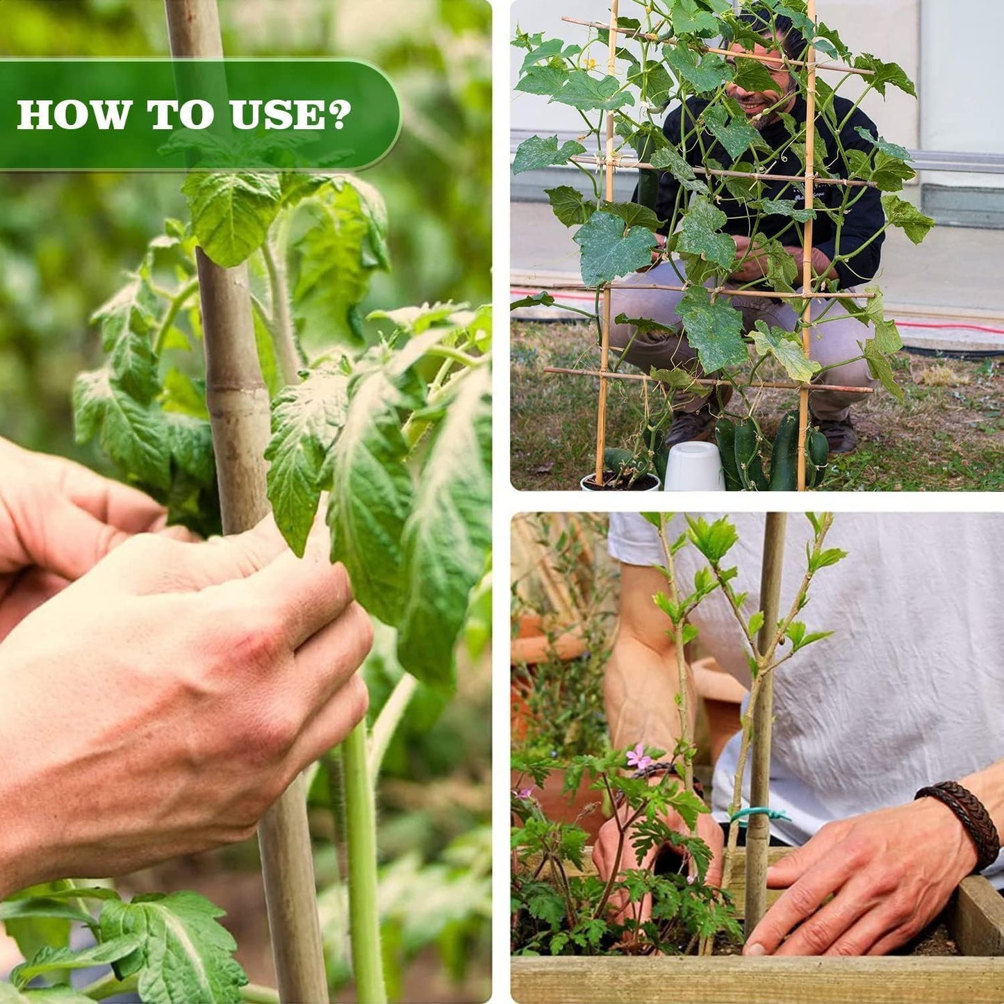 1/2" D 4 Feet Bamboo Stakes 50 Pack, Thicker Heavy-Duty Plant Stakes, Natural Garden Stakes for Bean, Tomato, Bean, Flowers,Trees Potted and Climbing Plant Support