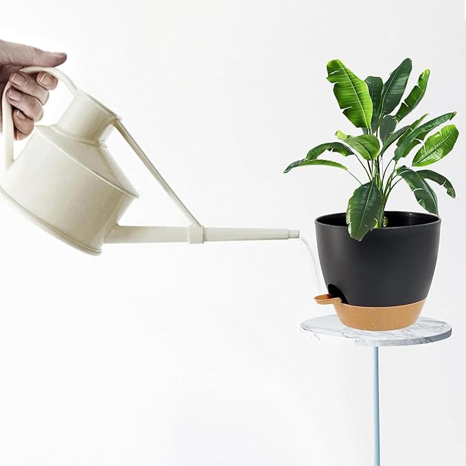 Carsapro 6-Pack Plant Pots with Drainage 6 Inch, Self Watering Pots for Indoor Plants, Planters for Indoor Outdoor Plants, Plastic Flower Pot, Planter for Indoor Outdoor (Black)