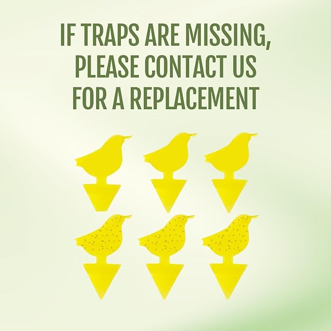 Kate's Home & Garden Plant Spray for Insects & Getting Rid of Gnats with 12 Sticky Traps. Fungus Gnat Killer & Bug Spray for Indoor Plants (16oz, Peppermint, Pet Safe, Non Toxic)