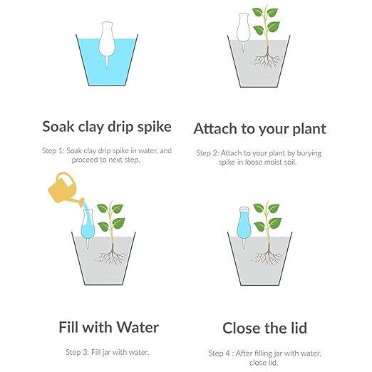 SmartiLiving Drip Irrigation Stakes - Extra Large Improved Drip Easy-Refill 4 Week Waterer System with Large Reservoir Bulbs - Automatic Self-Watering Device for Indoor & Outdoor Plants