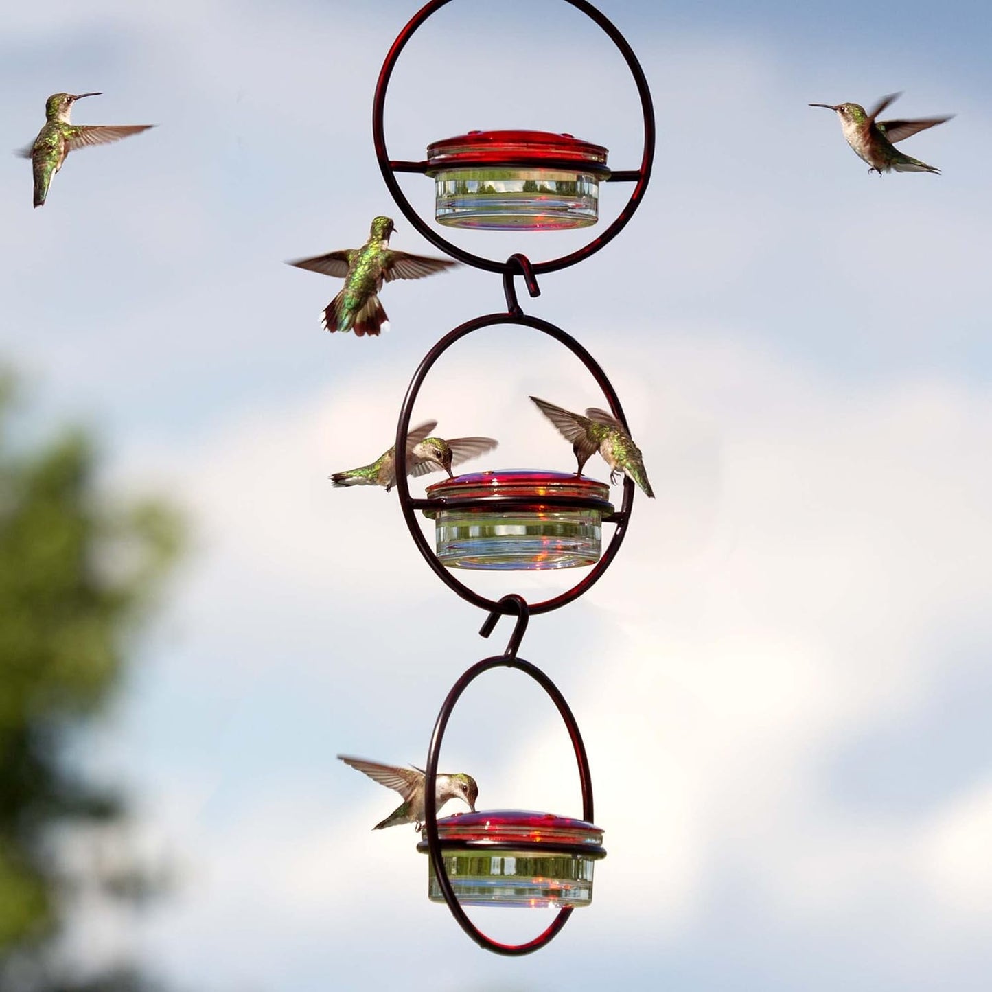Hummble Slim Hummingbird Feeder, M045-301-3, 3.4 Ounce Capacity, Clear, 3 Piece