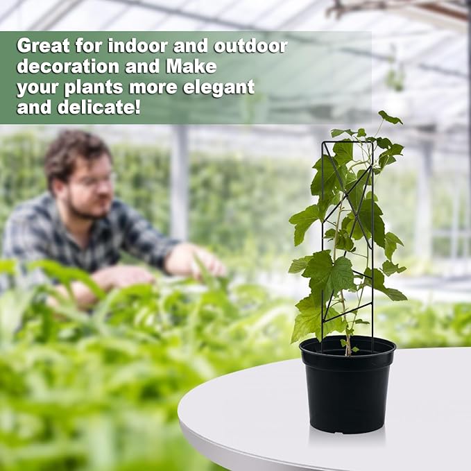 17.5 Inch Indoor Plant Trellis for Climbing Plants,Metal Trellis,Small Garden Trellis for Potted Plants,Plant Stakes for Indoor Plants Accessories Hoya,Flower,Plant Support (Star-Metal)