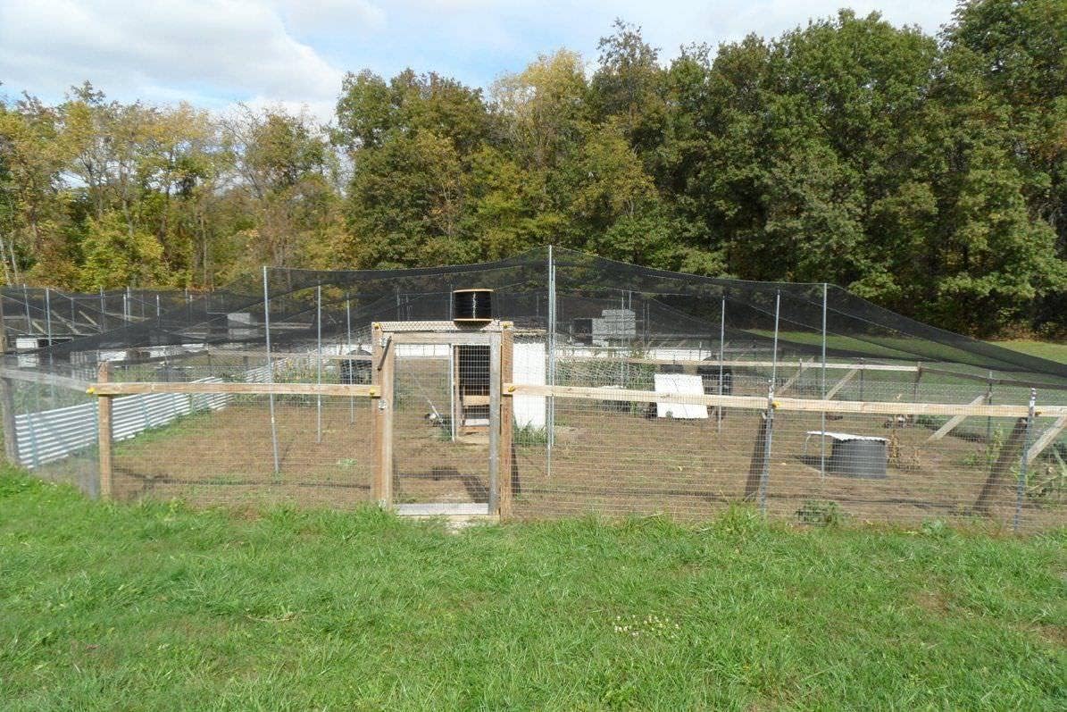 Poultry Netting 1" or 2" Mesh Heavy Knotted Nets Aviary Gamefowl Quail Chicken Bird Block Net Long Lasting Break/Burst 85/245 lb Polyethylene 8-10 Year Lifespan (25' X 150', 2)