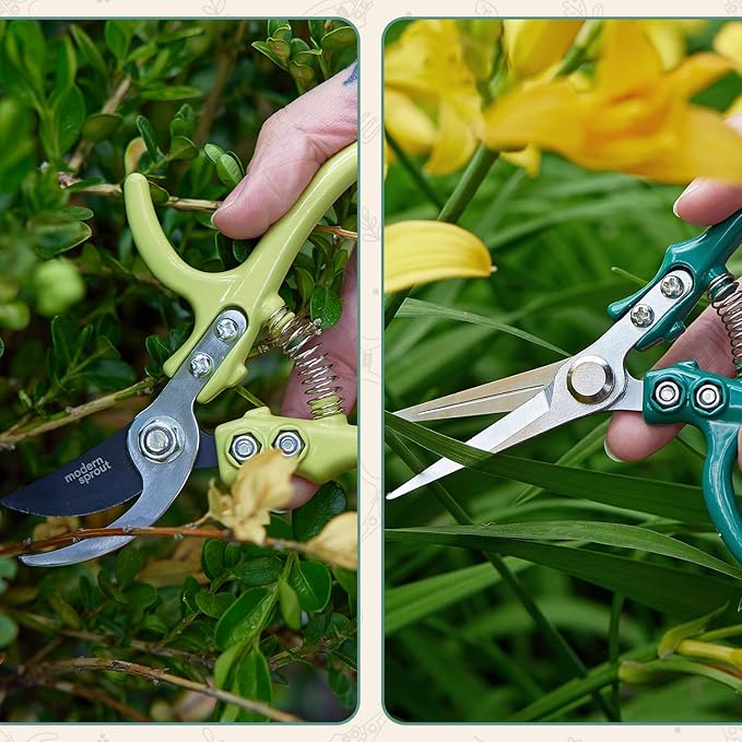Modern Sprout Hand Pruners & Shears Set with Blister Pack - Lightweight Gardening Tools with Easy Lock - Sharp Carbon Steel Blades -Rust Resistant Scissors for Herbs, Flowers - Ocean