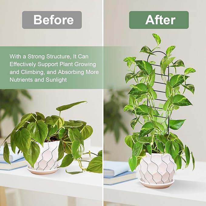 17.5 Inch Indoor Plant Trellis for Climbing Plants, Small Metal Garden Trellis for Potted Plants,Plants Accessories Hoya,Flower,Plant Support (Ladder-Metal)