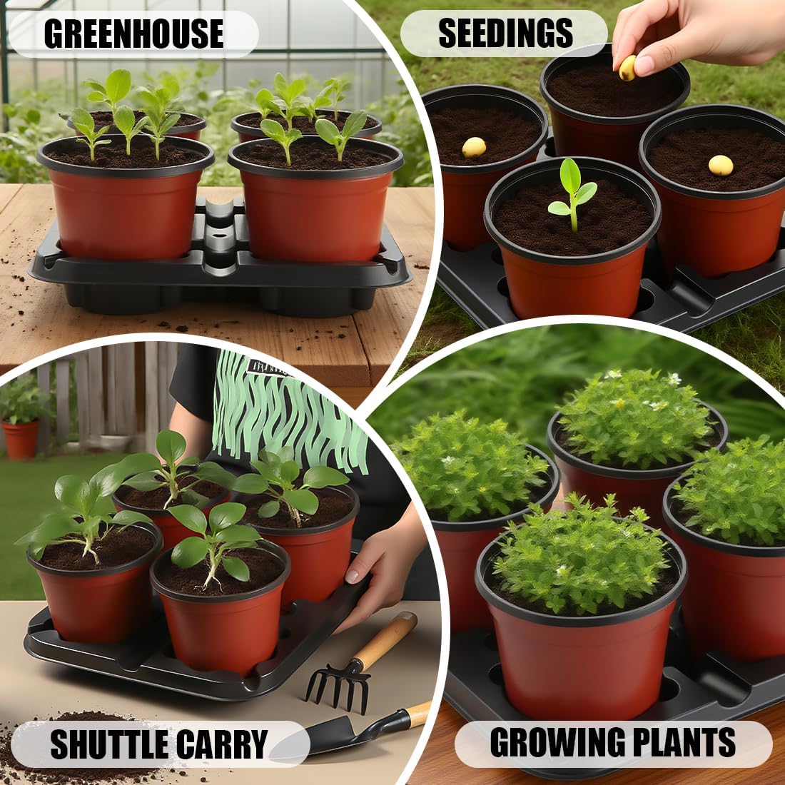 4 Cell Round Nursery Pot Trays for 5-6 Inch Pots, Thickened Sturdy Seedling Pot Shuttle Tray, Durable Nursery Pots Carrying Tray for Holding 5-6 inch Plastic Plant Pots (12.6" Square, 10-Pack)