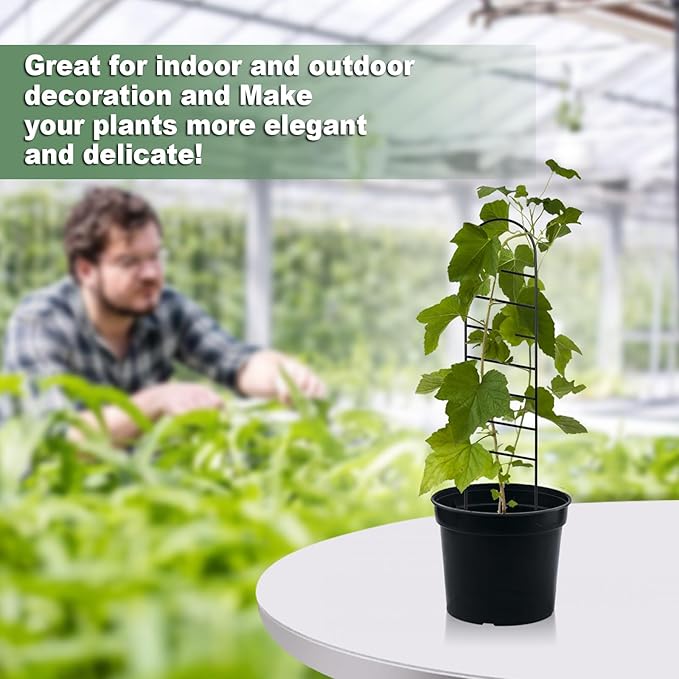 17.5 Inch Indoor Plant Trellis for Climbing Plants, Small Metal Garden Trellis for Potted Plants,Plants Accessories Hoya,Flower,Plant Support (Ladder-Metal)