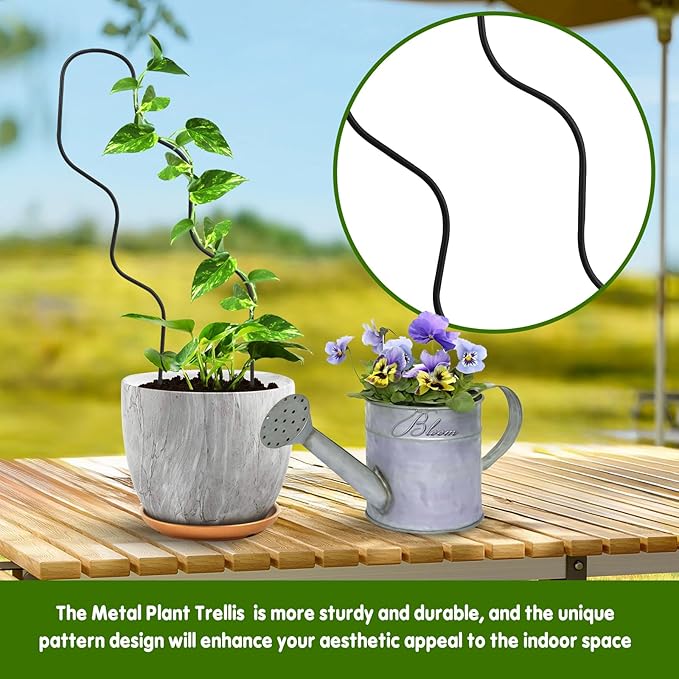 13.4 Inch Indoor Plant Trellis for Climbing Plants,Metal Trellis,Small Garden Trellis for Potted Plants,Plant Stakes for Indoor Plants Accessories Hoya,Flower,Plant Support (Black)
