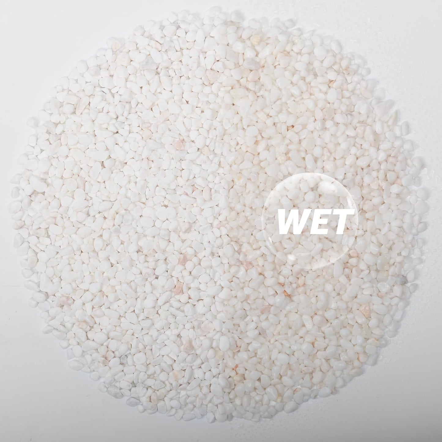 1/5 Inch White Succulent Cactus Gravel, 10 lbs – Ideal for Succulent Plant Pots, Vase Fillers, Glass Containers, Aquariums, Patios, and Outdoor Gardening River Stones (White, 10 Pounds)