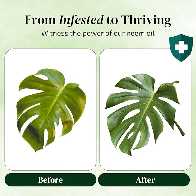 Neem Oil for Plants (Makes 480 fl oz) with Spray Bottle & Essential Oils | for Indoor Houseplants & Outdoor Gardens, Natural Leaf Shine