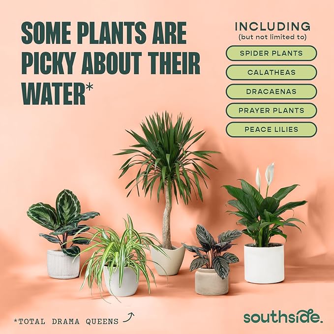 Southside Plants Tap Water Conditioner for Houseplants & Hydroponics - Remove Chlorine, Chloramines & Heavy Metals, Buffers pH - 8 Oz