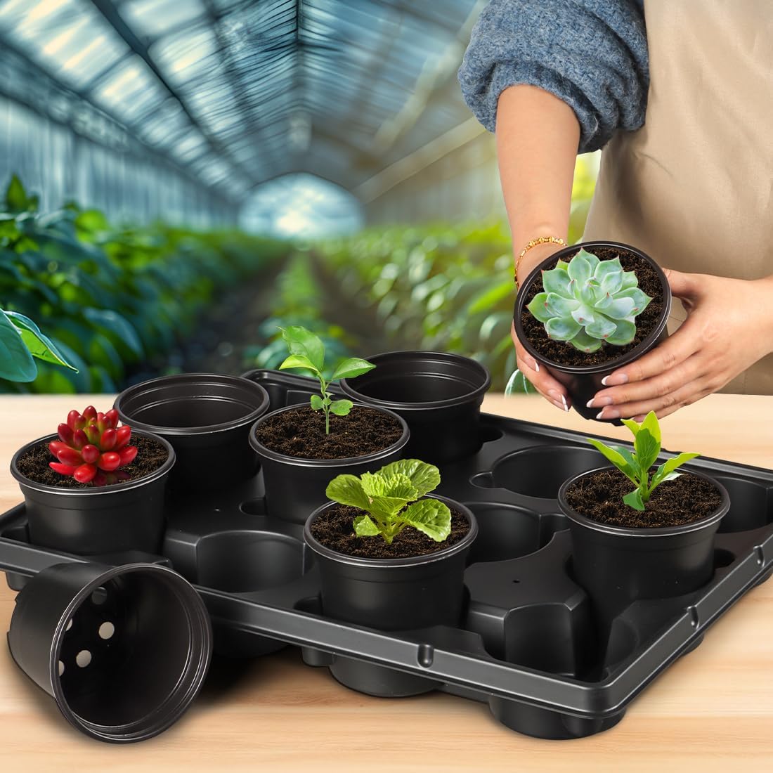 4 Inch Plastic Plant Pots 60 Pcs and 12 Cell Nursery Pots Trays 5 Pcs, Thick Sturdy Seeds Starting Germination Shuttle Carrying Trays, Black Small Planter Nursery Propagation 5 Sets