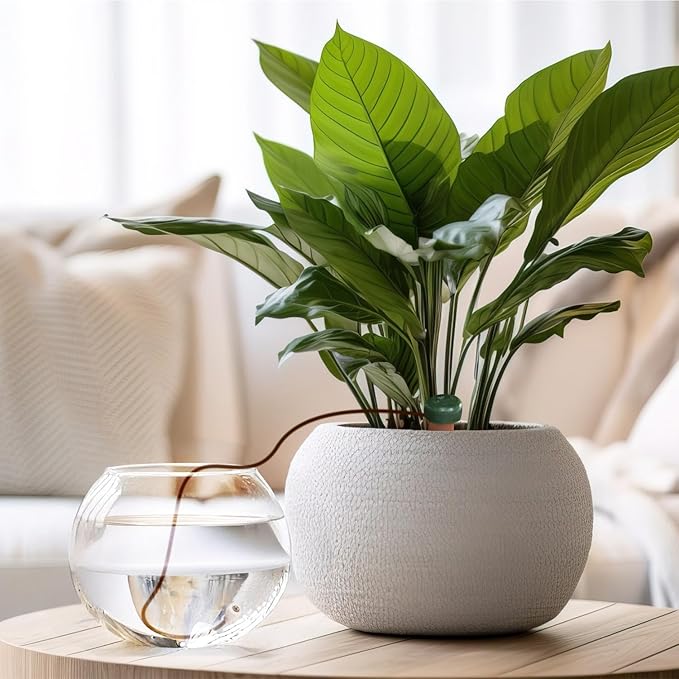 Blumat Classic Self-Watering Stakes - Automatic Drip Irrigation System for Indoor Plant Watering & Outdoor - Water Drip Solution for Potted Plants - Slow Release Stakes, 15 Pack, w Adapter