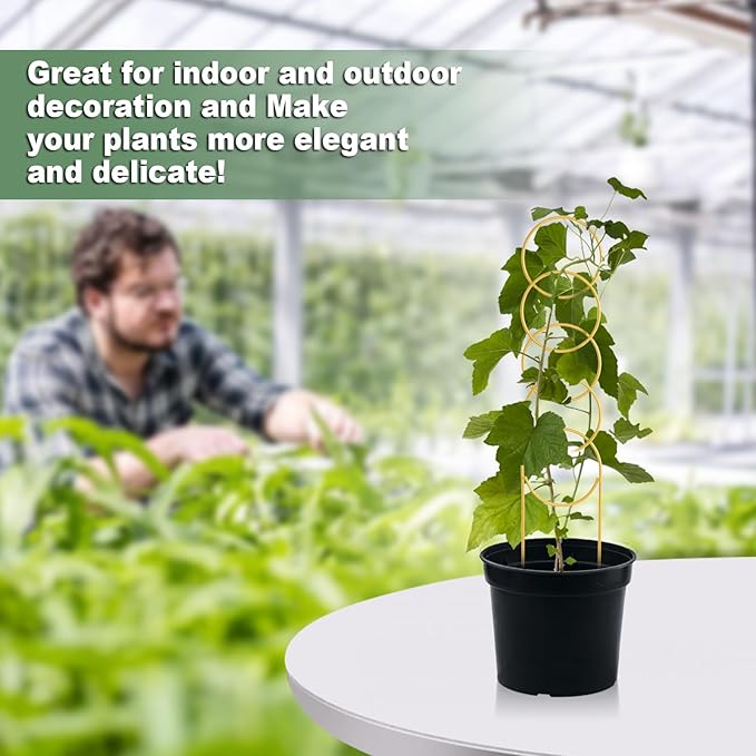 17.5 Inch Indoor Plant Trellis for Climbing Plants,Metal Trellis,Small Garden Trellis for Potted Plants,Plant Stakes for Indoor Plants Accessories Hoya,Flower,Plant Support (Golden-Metal)