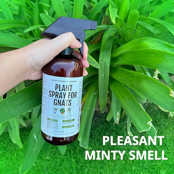 Kate's Home & Garden Plant Spray for Insects & Getting Rid of Gnats with 12 Sticky Traps. Fungus Gnat Killer & Bug Spray for Indoor Plants (16oz, Peppermint, Pet Safe, Non Toxic)