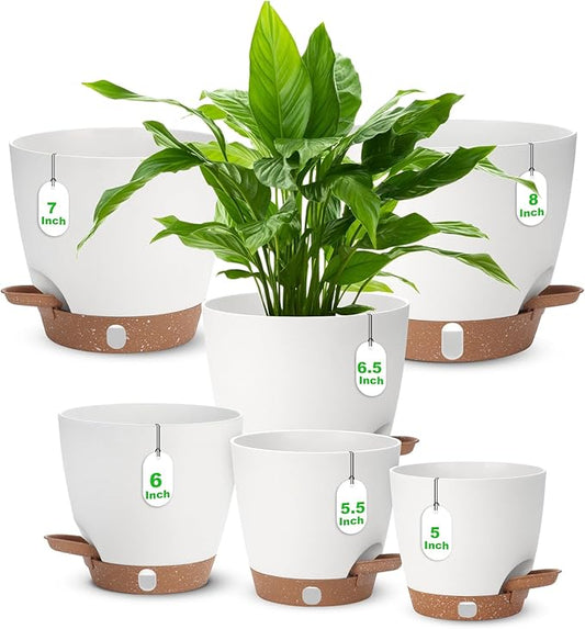 Self Watering Planter with Visual Water Level, 6Pack Small Plastic Pot Set with Drainage Holes and Reservoir Saucers, Modern 8+7+6.5+6+5.5+5 Inch Bottom Watering Flower Pots for Indoor Plant - White