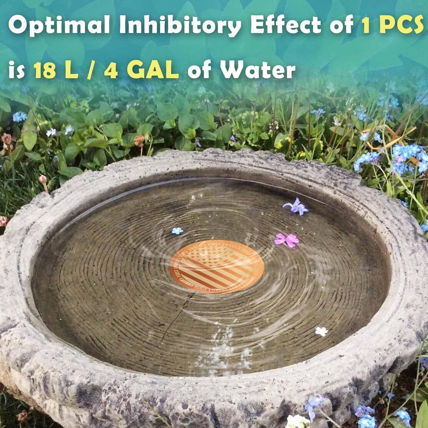 Upgraded 0.6mm/0.02in Bird Bath Copper Disk, Double Sided Frosted Pattern Copper Cleaning Disk, High Pure Copper Cleaner, Safe Clean Disc for Outdoor Birdbaths Bowl, All Season (2 PCS)