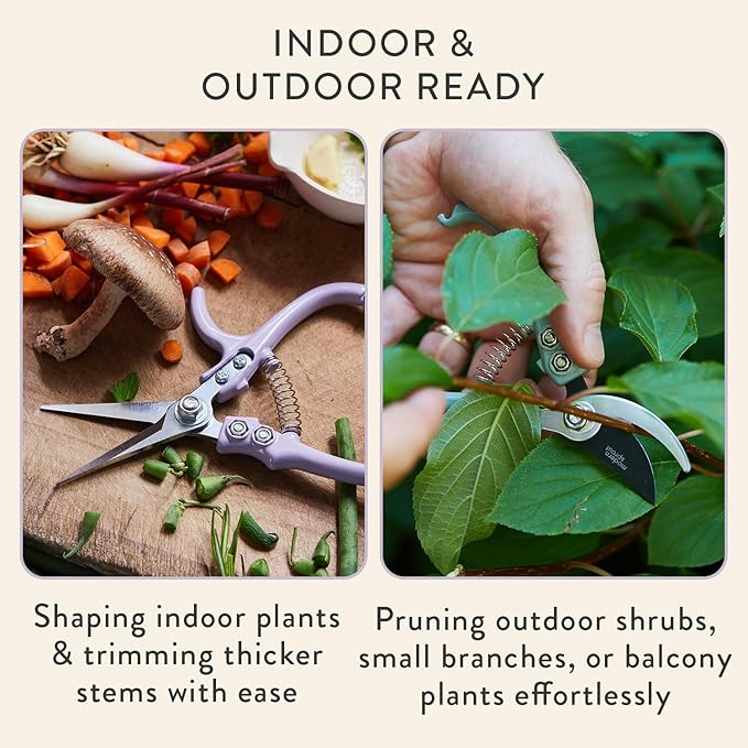 Modern Sprout Hand Pruners & Shears Set with Blister Pack - Lightweight Gardening Tools with Easy Lock - Sharp Carbon Steel Blades -Rust Resistant Scissors for Herbs, Flowers - Lavender