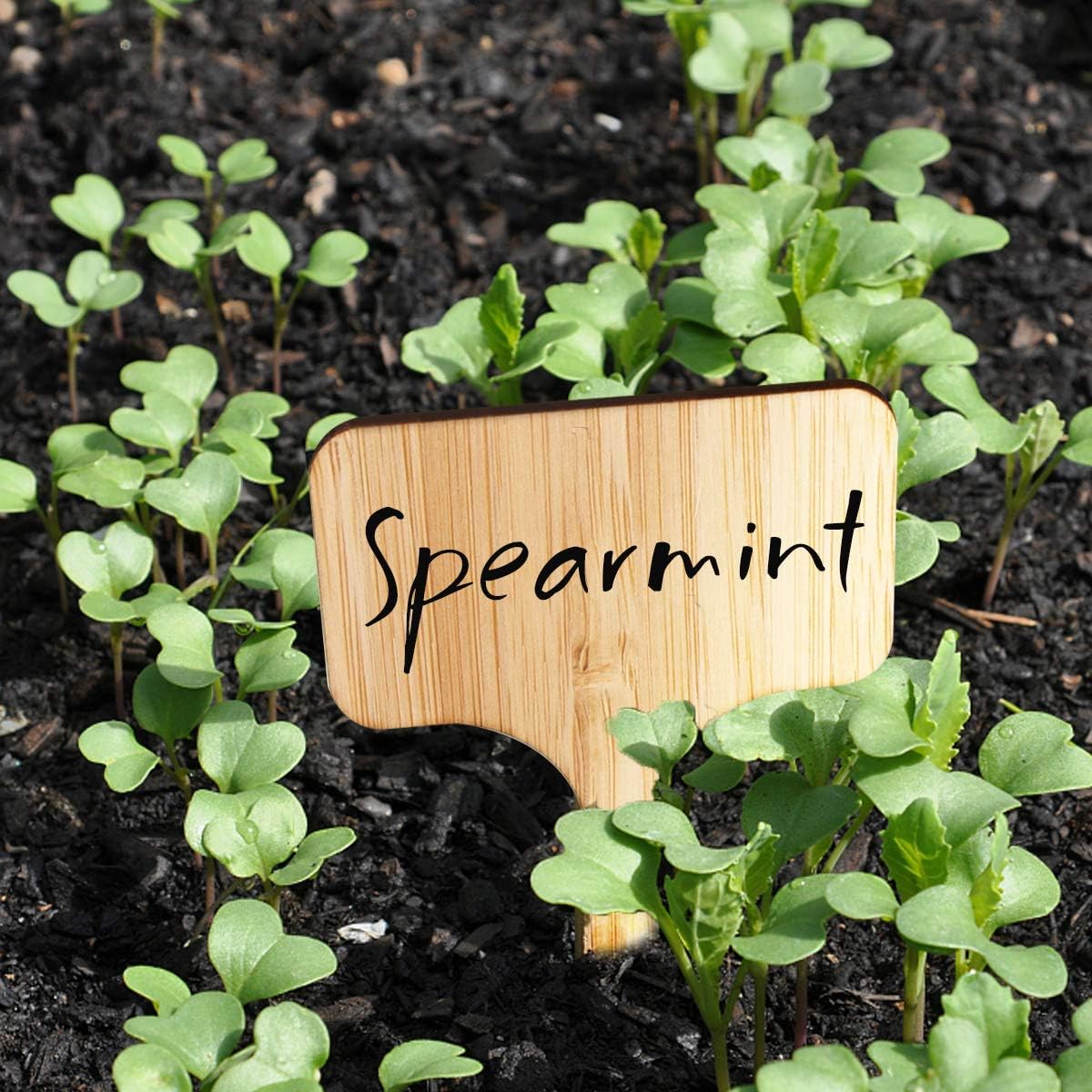 Homenote Bamboo Plant Labels 60Pcs Plant Tags for Seedling T-Type Tags for Plants Outdoor Garden Markers Vegetable Seedling(2.36 * 4“)