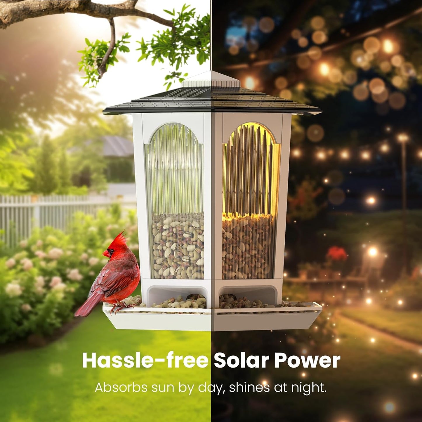 Solar Bird Feeders for Outdoors Hanging - Attract Wild Birds & Cardinals, Elegant Minimalist Design, Garden Décor, Unique Gift