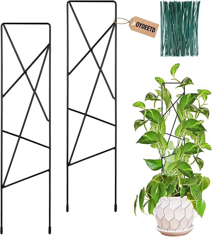 17.5 Inch Indoor Plant Trellis for Climbing Plants,Metal Trellis,Small Garden Trellis for Potted Plants,Plant Stakes for Indoor Plants Accessories Hoya,Flower,Plant Support (Star-Metal)