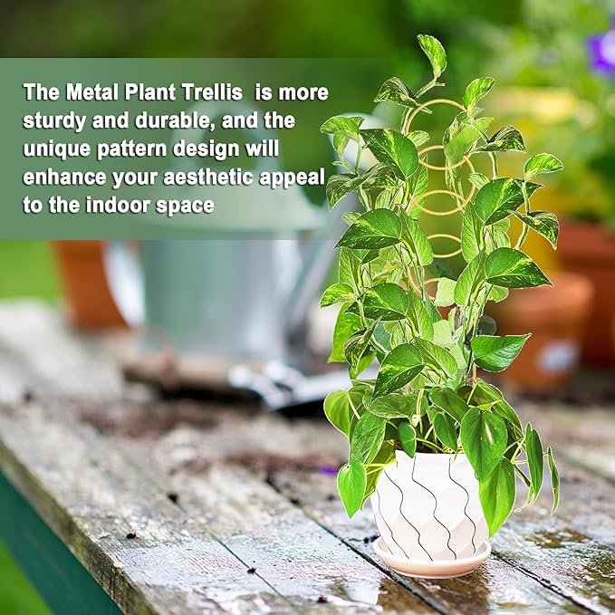 17.5 Inch Indoor Plant Trellis for Climbing Plants,Metal Trellis,Small Garden Trellis for Potted Plants,Plant Stakes for Indoor Plants Accessories Hoya,Flower,Plant Support (Golden-Metal)