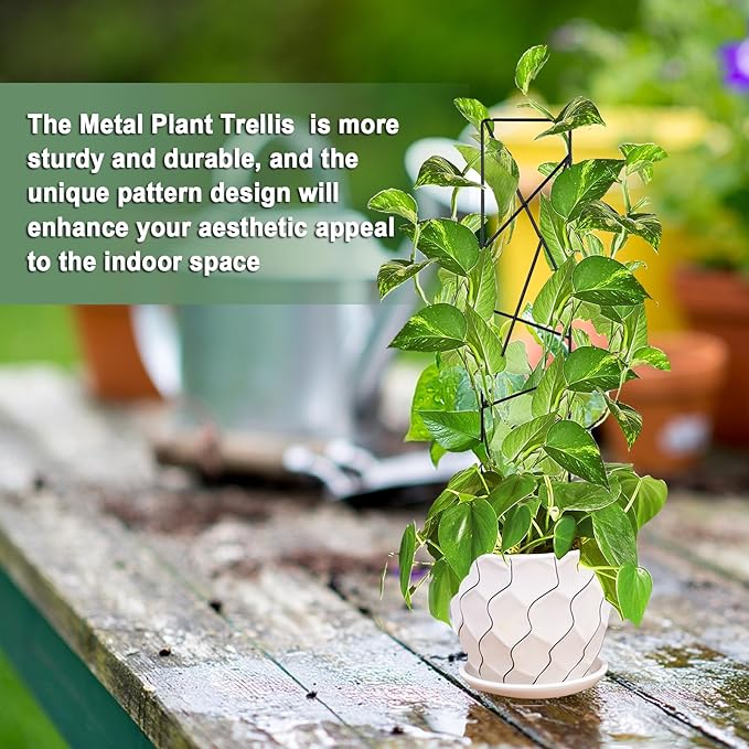 17.5 Inch Indoor Plant Trellis for Climbing Plants,Metal Trellis,Small Garden Trellis for Potted Plants,Plant Stakes for Indoor Plants Accessories Hoya,Flower,Plant Support (Star-Metal)