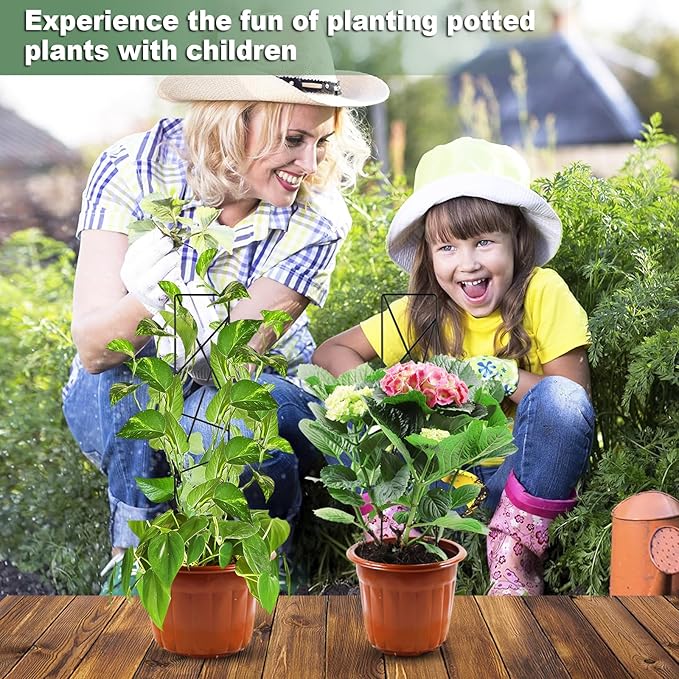 17.5 Inch Indoor Plant Trellis for Climbing Plants,Metal Trellis,Small Garden Trellis for Potted Plants,Plant Stakes for Indoor Plants Accessories Hoya,Flower,Plant Support (Star-Metal)