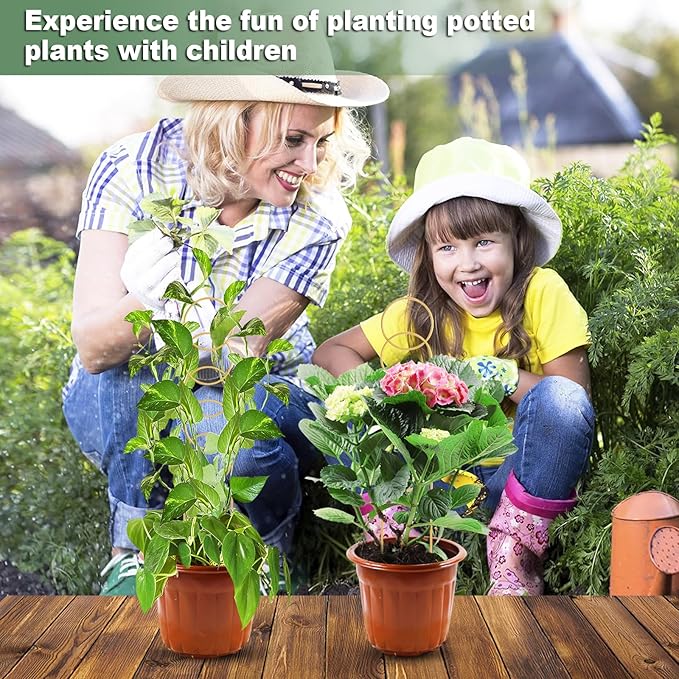 17.5 Inch Indoor Plant Trellis for Climbing Plants,Metal Trellis,Small Garden Trellis for Potted Plants,Plant Stakes for Indoor Plants Accessories Hoya,Flower,Plant Support (Golden-Metal)