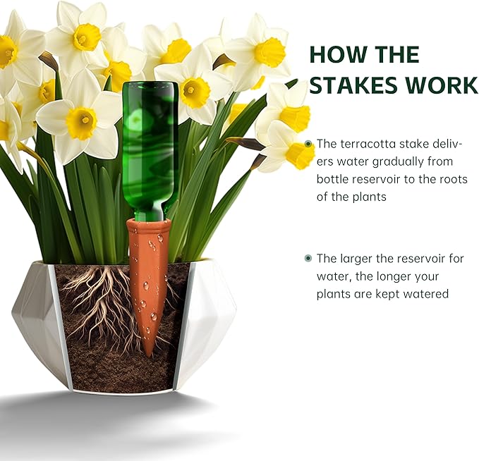 Soilagua Large Terracotta Watering Spikes with Lids, Automatic Plant Waterer Outdoor | Indoor, Vacation Friendly Clay Plant Watering Devices System, Slow Release Self Watering Planter Insert, 4 Pack