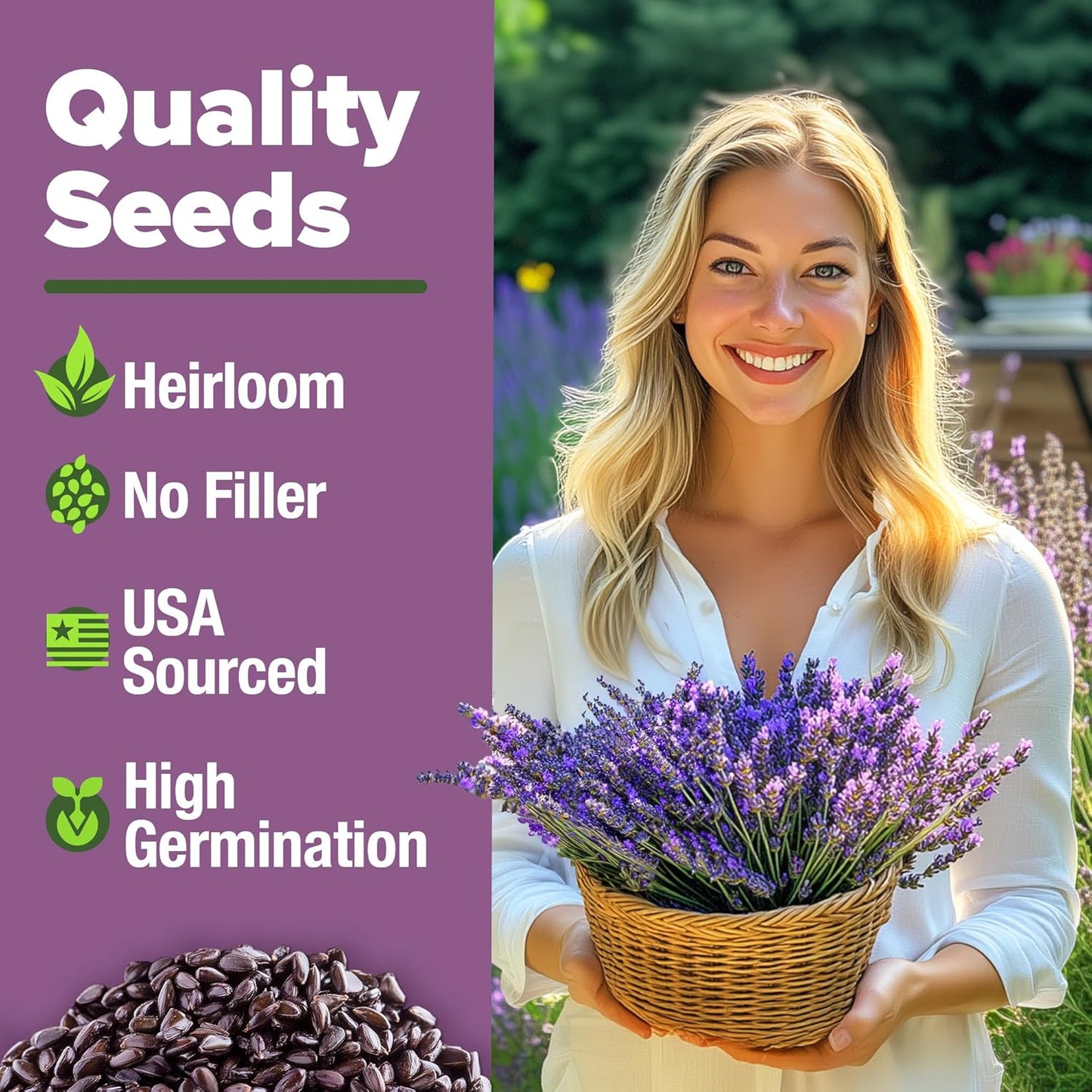 HOME GROWN 𝗨𝗦𝗔 𝗣𝗥𝗘𝗠𝗜𝗨𝗠 English Lavender Seeds 2 Pack 3000 𝗡𝗢𝗡-𝗚𝗠𝗢 Wildflower Seed, for Planting Indoor Outdoor High Germination Flower Seeds (Lavandula antustifolia)