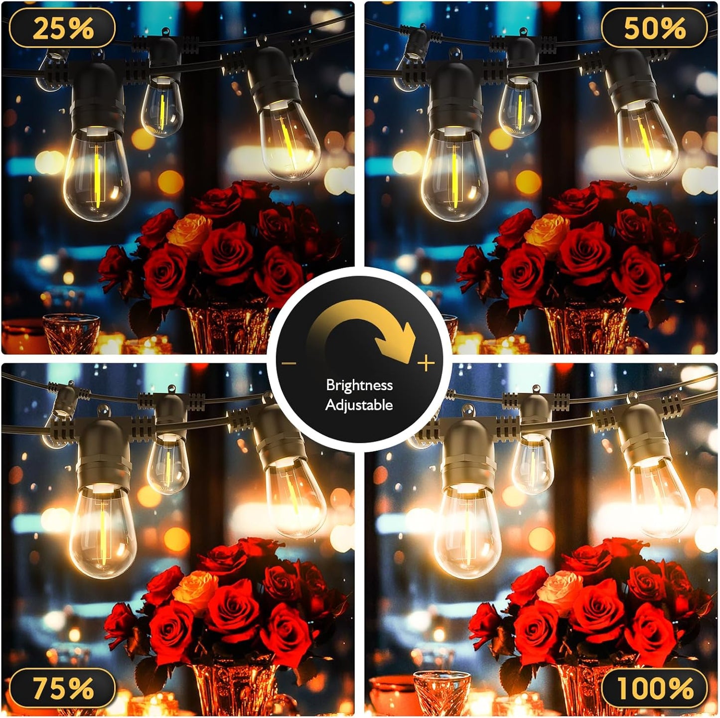 Solar String Lights Outdoor with Remote 30 FT, USB & Solar Dual Charging, Waterproof, 8 Modes 3 Timers, 10+1 LED Shatterproof S14 Bulbs, Dimmable Solar Light for Camping Backyard Bistro Porch Garden