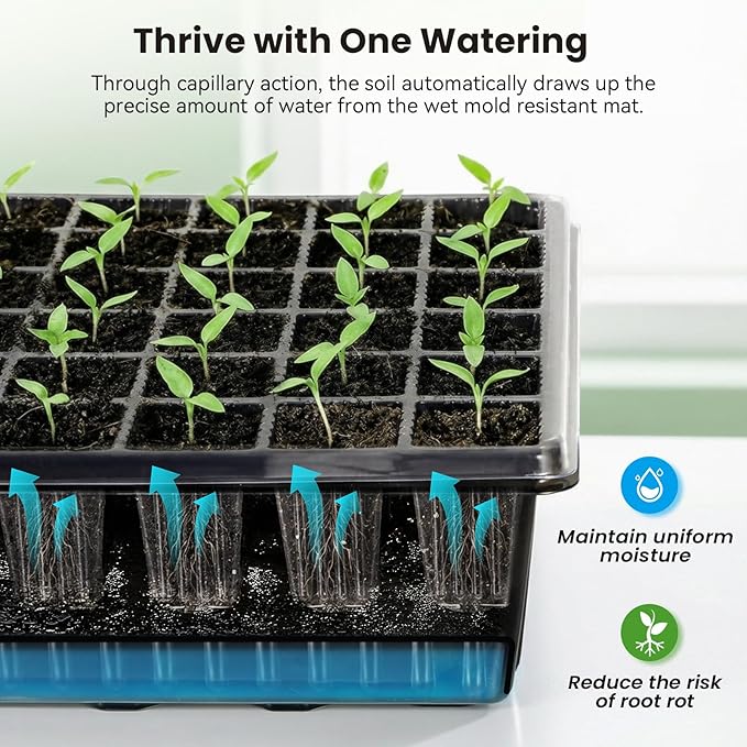 Seed Starter Tray with Grow Light - 60 Cells Self-Watering Seed Starter Kit with 24/7 LED Grow Light, 4’’ Humidity Dome for Herbs, Indoor Plant Germination (1)