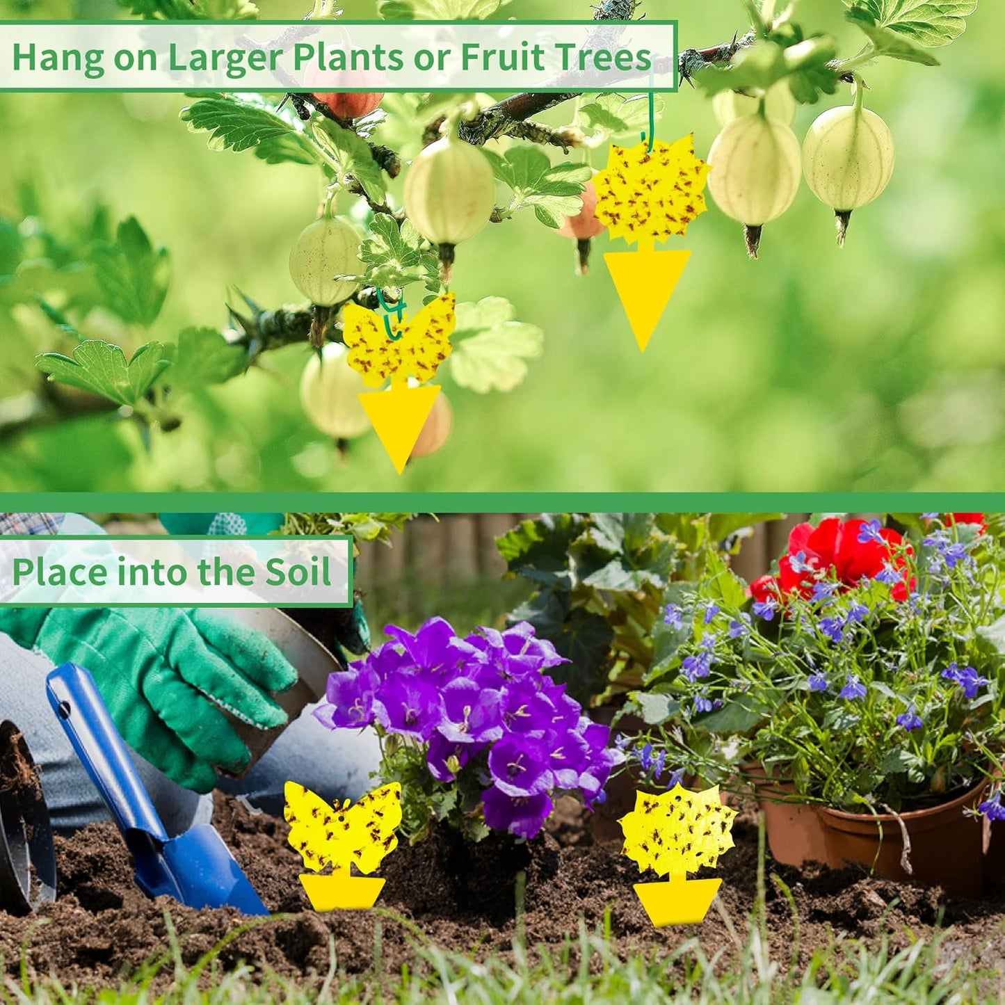 LULUCATCH Fruit Fly Sticky Traps 12 Pcs, Yellow Sticky Trap, Non-Toxic Gnat Traps Insect Catcher, Super Sticky Fly Traps for Indoor Outdoor Kitchen White Flies Mosquitos Fungus Gnats Flying Insects