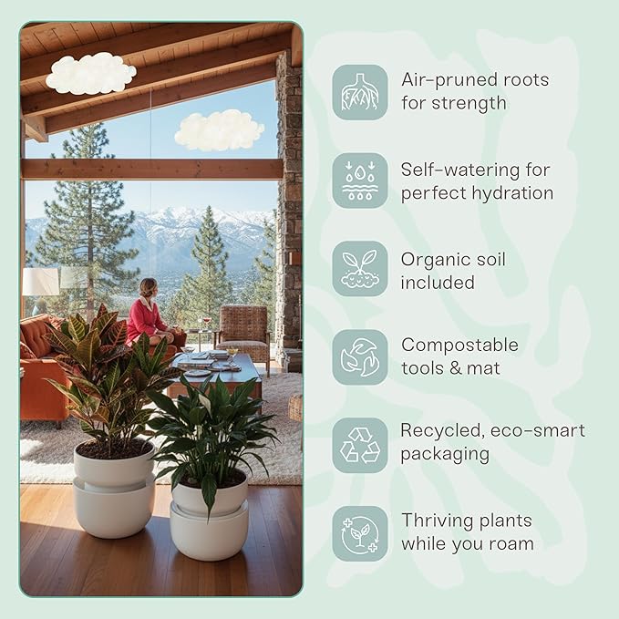 Tendril Planter SWAP+ System | Indoor Ceramic Planter (10"), Self-Watering & Air-Pruning, with Tools & Repotting Mat | USA Organic Soil Included