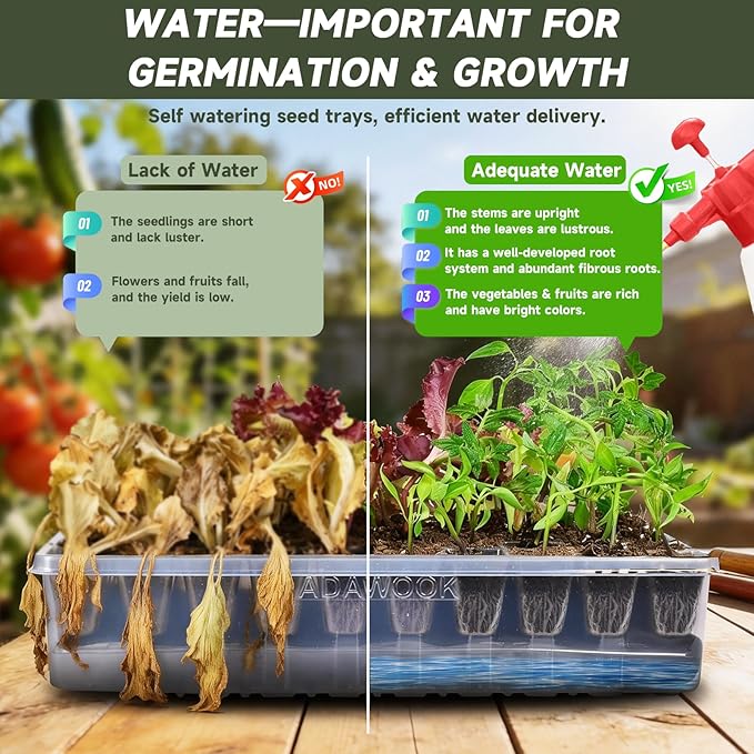 Adawook Self Watering Seed Starter Trays, Clear Seed Starter Kit Tray with High Humidity Domes, Seed Starting Trays (Garden 1PC, 1)
