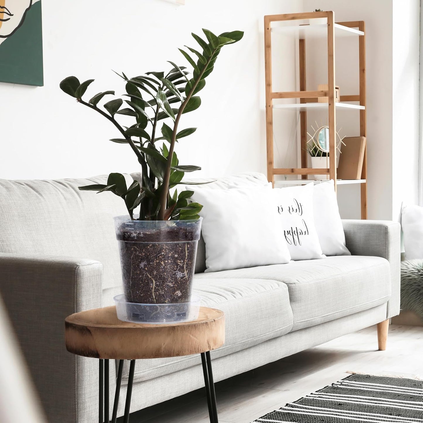 1 Gallon 6 Inch Clear Plastic Plant Pot with Drainage Holes, Interlocking & Detachable Tray - Deep Saucer - Durable BPA-Free Plastic, Transparent Design, Raised Base for Airflow, Set of 12, 92-X-B-6