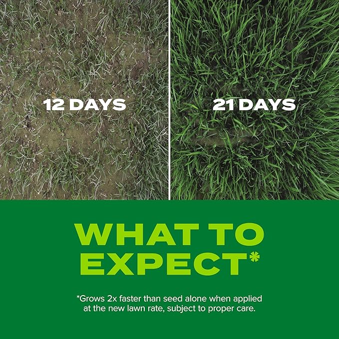 Scotts Turf Builder Rapid Grass Sun and Shade Mix, Grass Seed with Fertilizer for Full, Green Grass in Just Weeks, 10 lbs.