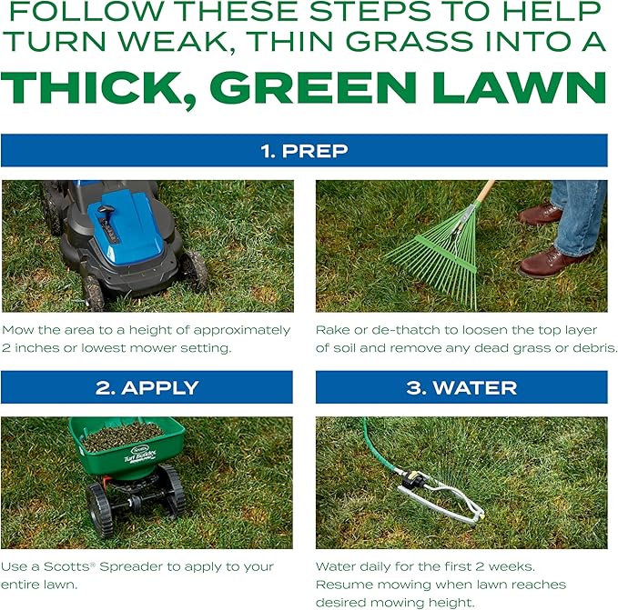 Scotts Turf Builder Thick'R Lawn Sun and Shade, Combination Seed, Fertilizer and Soil Improver, Thickens Thin Grass, 40 lbs.